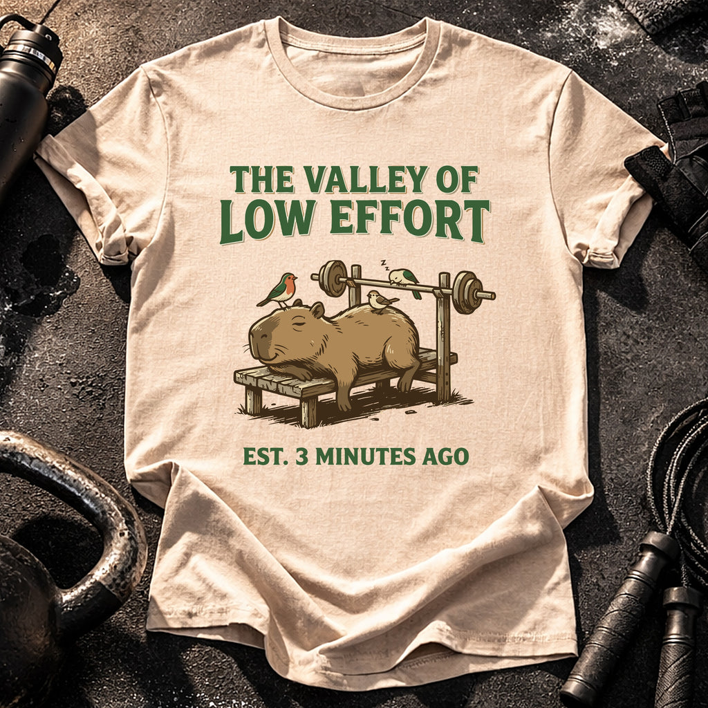 Valley Low Effort T-Shirt